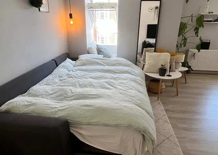 Alma - Cosy In C Aalborg